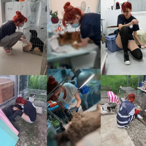 Donate to my foster care