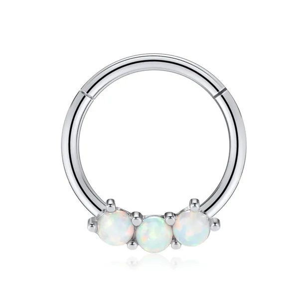 16G Daith Piercing Jewellery Surgical Steel 16G Septum Clicker Ring Septum Jewelry Septum Nose Ring Hoop Higned Segment Clicker Ring Conch Piercing Jewellery Cartilage Helix Rook Daith Earrings