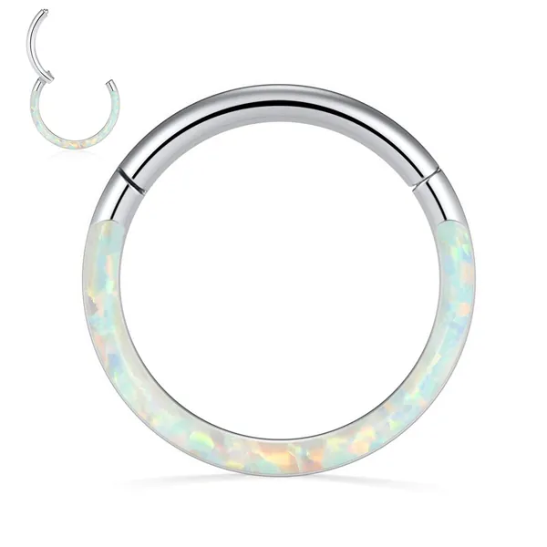 hengkaixuan 16G Nose Rings Septum Clicker 316L Surgical Steel Segment Helix Cartilage Conch Hoop Earrings Hoop Conch Hoop Daith Piercing Jewelry