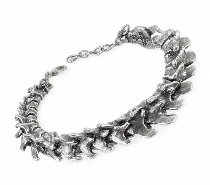 Vertebrae Bracelet Made by Alchemy England, Bones, Spine