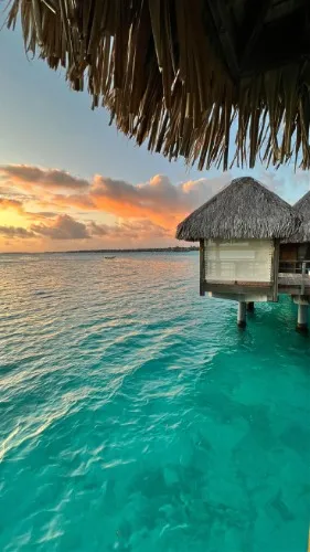 Vacation