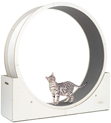 Elmato Katzenlaufrad ca. 120 cm großes aufgebautes Laufrad für Katzen - Katzenrad aus MDF komplett montiert für innen mit extra Sicherheit und Pfotenschutz 10702 Simba L