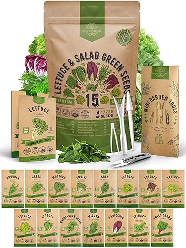 Organo Republic 15 Lettuce & Salad Greens Seeds Variety Pack 17700+ Non-GMO Heirloom Lettuce Seeds for Indoors & Outdoors Garden, Hydroponics, Aerogarden - Arugula, Kale, Spinach, Swiss Chard, Lettuce - 15 Lettuce & Salad Greens Seeds