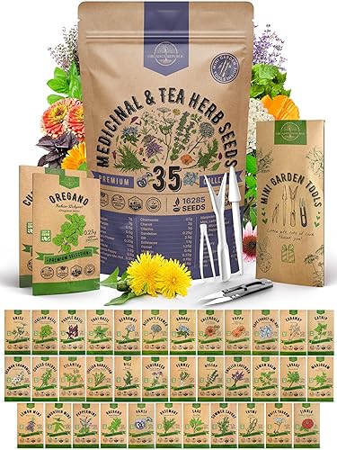 35 Medicinal & Tea Herb Seeds Variety Pack for Indoor & Outdoors. 16,335+ Non-GMO Heirloom Garden Seeds: Anise, Bergamot, Borage, Cilantro, Chamomile, Dandelion, Rosemary Seeds & More - 35 Medicinal & Tea Herb Seeds