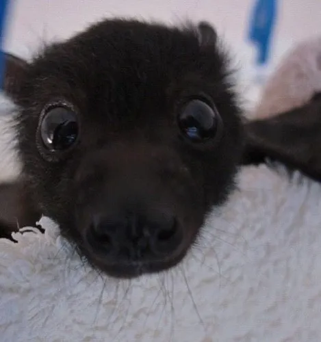 $10 ♡ ♱ ☠︎︎