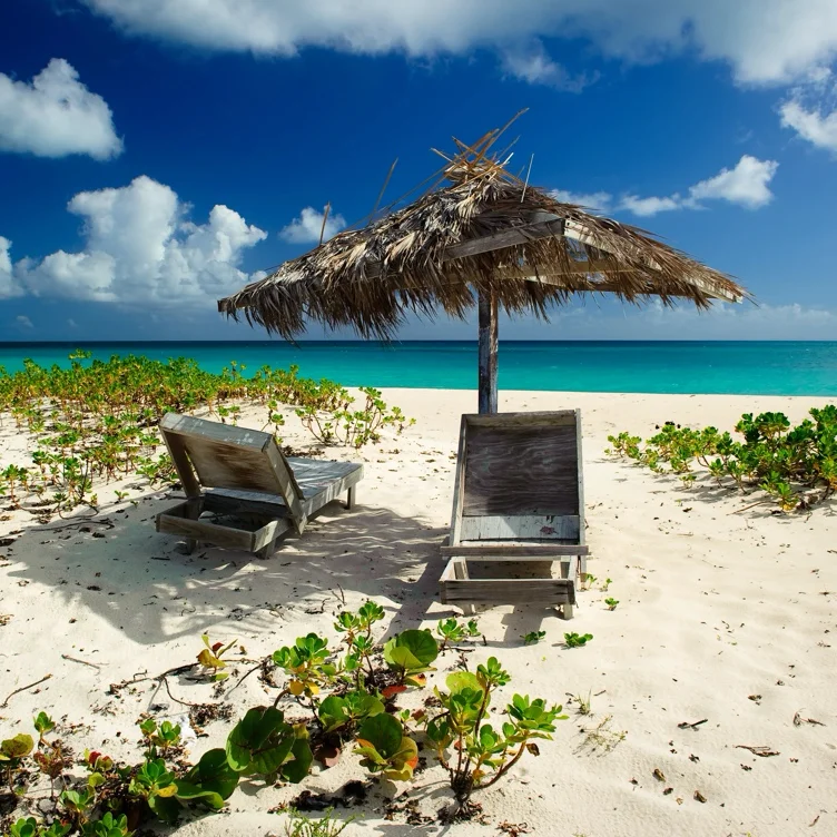 Vacation Fund (Paris, Tokyo, Spa Getaway)