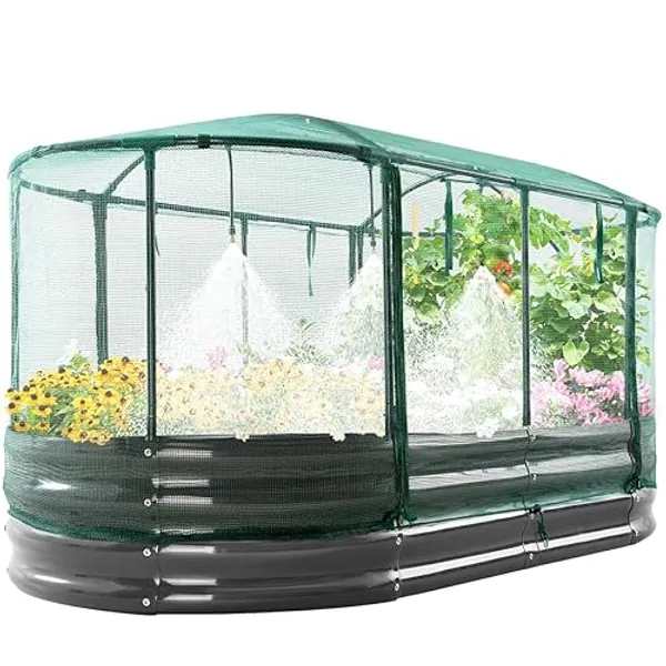 Quictent Galvanized Raised Garden Bed Kit with Self Watering System and Mesh Cover, Large Oval Metal Outdoor Planter Garden Boxes for Vegetables Herbs Flowers, 6x3x1Ft - Garden Bed with Watering System