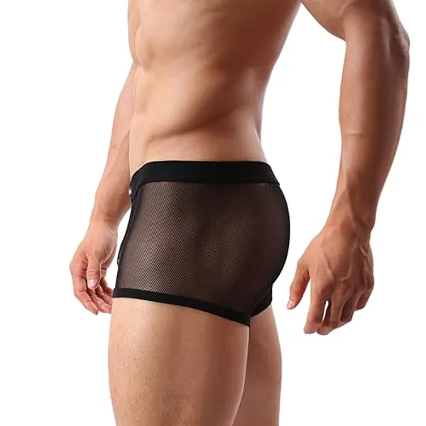 Evankin Men's Underwear Sexy Mesh Breathable Boxer Briefs Low Rise Cool Valentines Boxers Pack Set