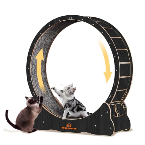 Homegroove Cat Exercise Wheel for Indoor Cat, 40" Large Cat Running Wheel with Carpeted Runway, Cat Treadmill Wheel for Kitty’s Longer Life, Cat Wheel for Fitness Weight Loss Device, Black(L) - L - Black