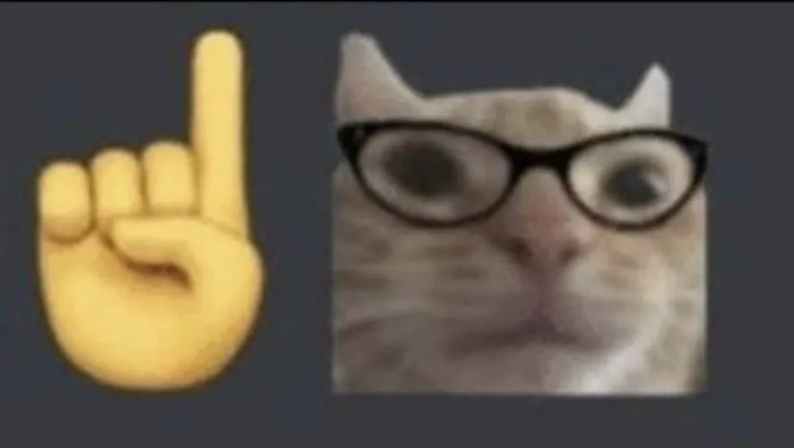 Money for the cat beggar