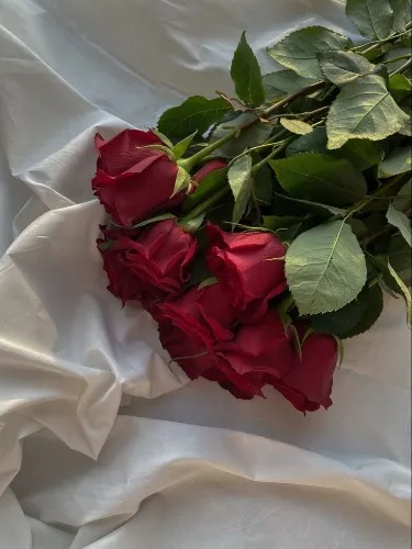 Red Roses
