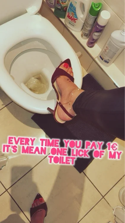  Lick my toilet 🐶👅