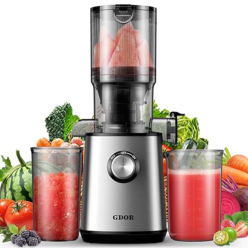 GDOR Cold Press Juicer Machines, 4.25'' Large Feed Chute Masticating Slow Juicer Fits Whole Fruits and Vegetables, Low Noise, Easy to Clean, Silver