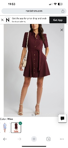 Puff Sleeve Shirtdress