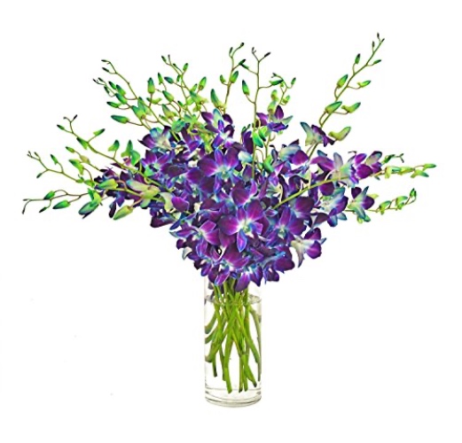 Premium Cut Blue Orchids (20 Stems Orchid with Vase) - 20 Stems Orchid with Vase
