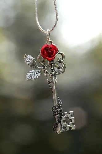 The key of ur cage!