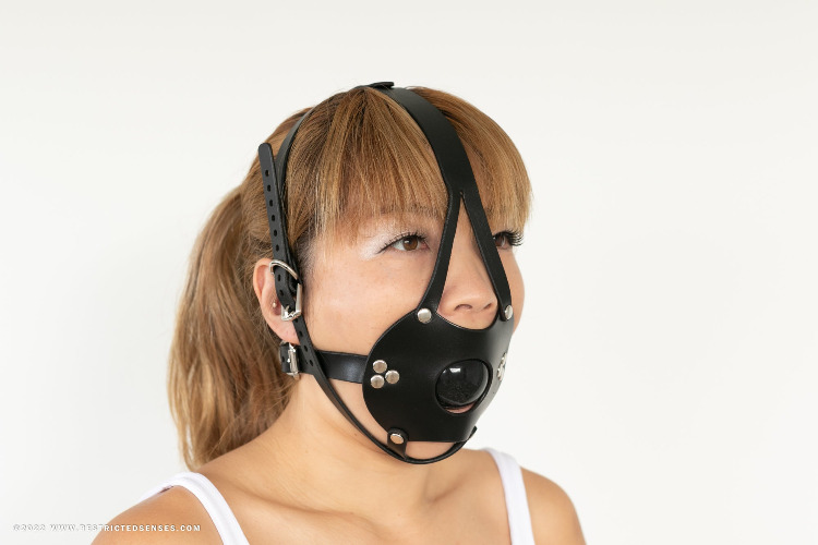 Leather Bondage Facehugger Ball Gag | Black (45mm)