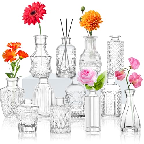 Glas Bud Vase Set von 12 verschiedenen Mustern. Kleine Mini Vintage Vasen für Blumen, Geschenkbox Klare Bud Vasen in Bulk, Nette Glasvasen für Mittelstücke Hochzeit Home Tisch Blume Dekor - Transparent-b