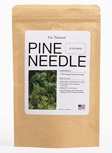Pine needle tea, wild-foraged in the USA, picked from northern white pines | Protects against infection, strengthens immunity, high in antioxidants, natural suramin (20 Count (Pack of 1)) - 20 Count (Pack of 1)