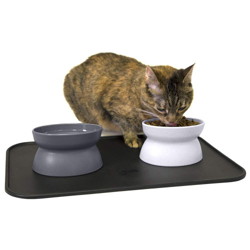 Kitty City Raised Cat Food Bowl Collection_Stress Free Pet Feeder and Waterer - 2 Bowls_1 Mat
