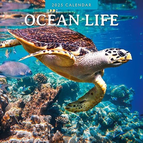 Ocean Life - 2025 Square Wall Calendar - by Red Robin Publishing
