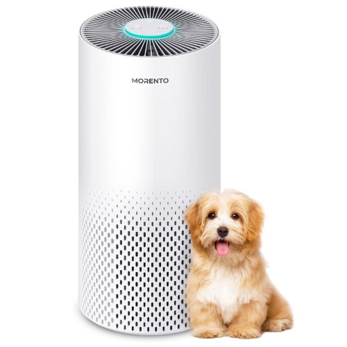 MORENTO KILO Air Purifiers For Home - White