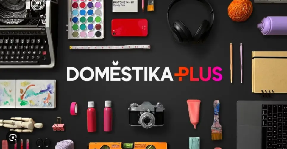 1 year Domestika plus subscription