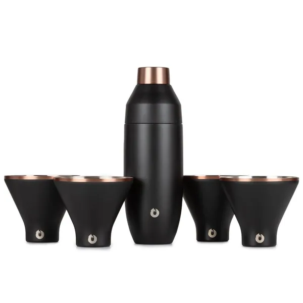 Stainless Steel Cocktail Shaker and Martini Glass Set