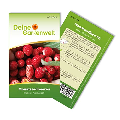 Monatserdbeeren Rügen Samen - Fragaria vesca - Erdbeersamen - Obstsamen - Saatgut für 100 Pflanzen - Monatserdbeere