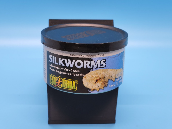 Exo Terra Silkworms 1.2oz | Snake Discovery