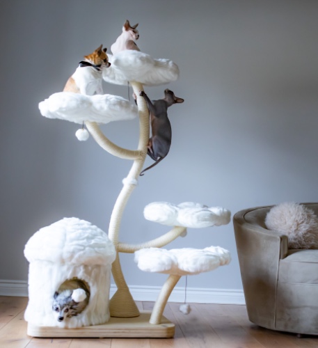 CAT TOWER-THE GARDEN OF FLOWERS 