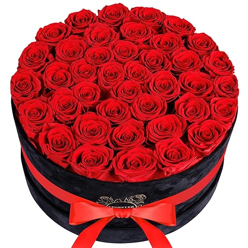UFOREVER ROSES Luxury Preserved Roses in Suede Box - Flower Roses Gifts for Women, Valentines Day Flowers Mothers Day Roses - Birthday Flowers for Delivery Prime - 40 Pieces (Red) - Red