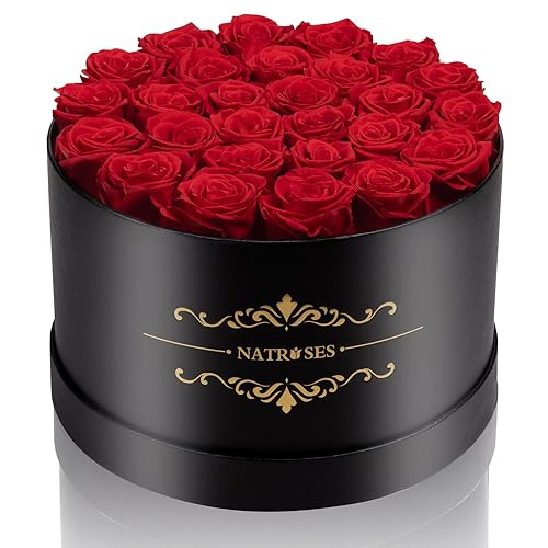 NATROSES Forever Preserved Roses in a Box, 100% Real Roses That Last Up to 3 Years, Preserved Flowers for Delivery Prime Birthday, Valentines Day Gifts for Her (Red) - 27 Red Roses