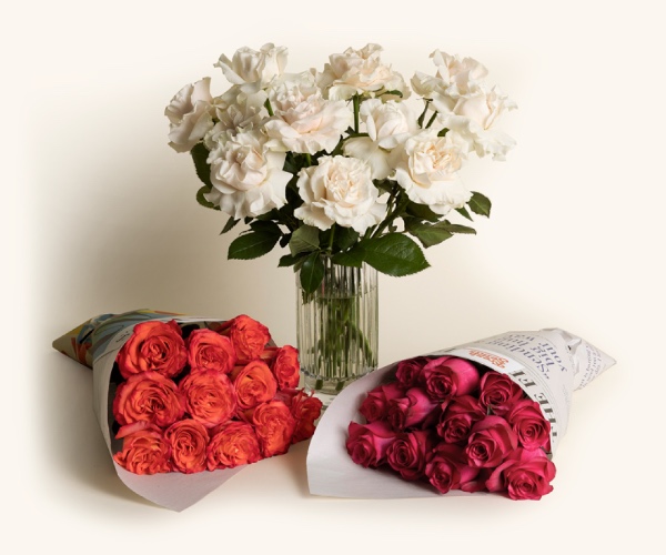 Roses | Red / The Pedestal Vase