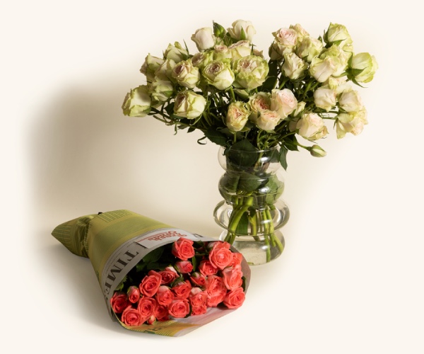 Spray Roses | Regular / The Fluted Vase