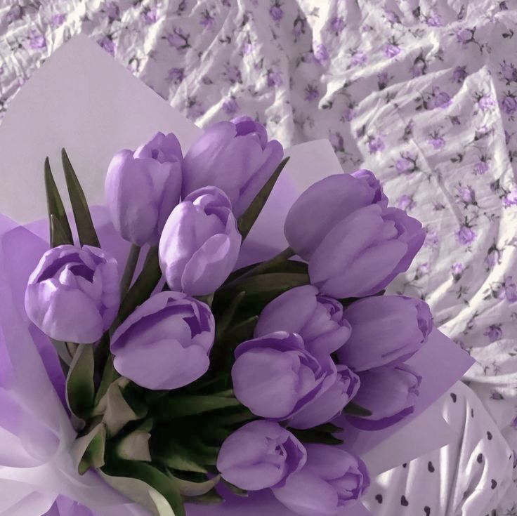 𓈒⟡₊⋆∘Flowers𓈒⟡₊⋆∘