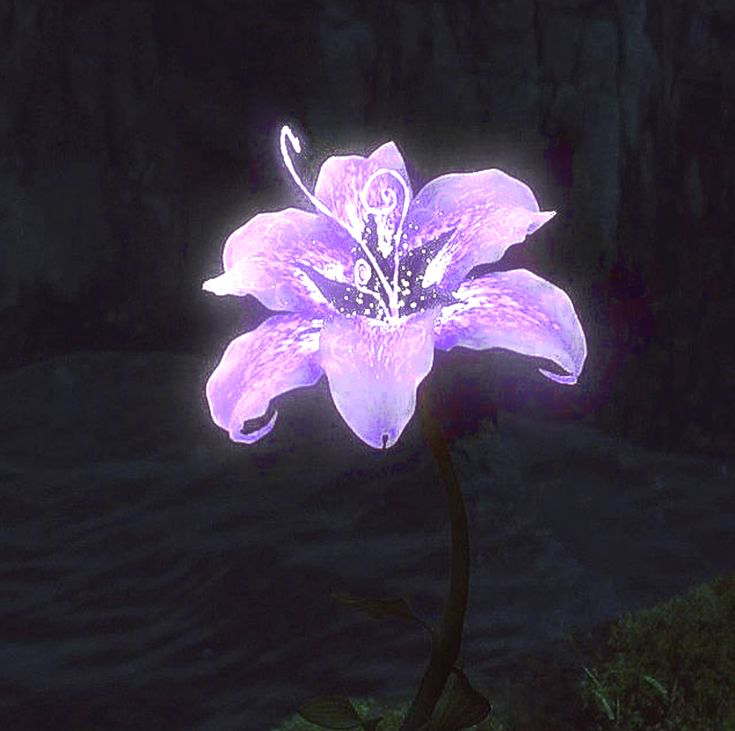 𓈒⟡₊⋆∘Kissess𓈒⟡₊⋆∘