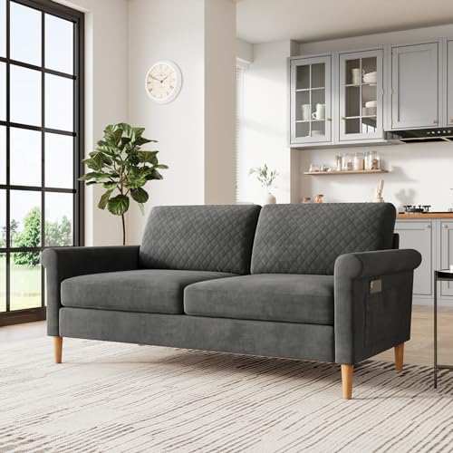 Vesgantti 65.1''Loveseat Sofa Couch for Living Room, Modern Sofa,Small Couches for Small Spaces,Upholstered 2-Seater Love Seats Couch for Bedroom, Apartment, Home Office, Tool-Free Assembly,Grey 01 - Loveseat - Grey 01