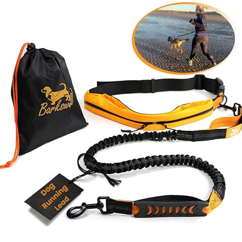 Barkswell Hands Free Dog Lead - Running Dog Lead with Waist Belt - Strong Bungee Dog Lead with Dog Walking Belt - Comfortable Dog Running Lead Hands Free with Waist Belt/Waist Dog Lead for Walking - Athletic Orange/Black - 1 Dog