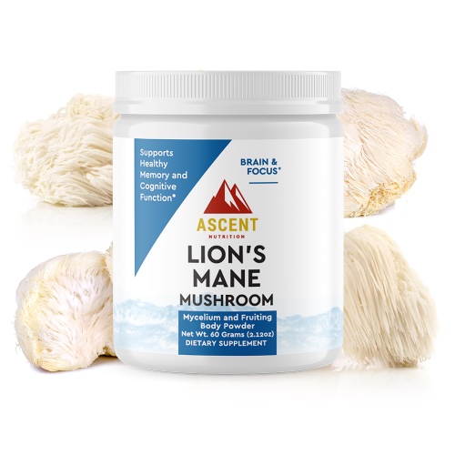 Lion's Mane Mushroom