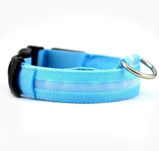 2 PCS Set Nylon LED Dog Collar - Blue / XL