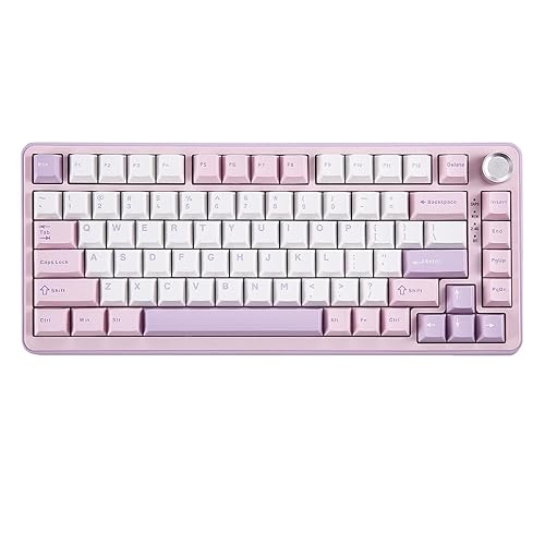 YUNZII B75 PRO Wireless Mechanical Keyboard,75% Gaming Keyboard Gasket Hot Swap Custom Keyboard with Knob,Pre-lubed Switches RGB,Bluetooth/Type-C/2.4G Creamy Keyboard(Cocoa Cream V2 Switch,Purple) - Cocoa Cream V2 Switch - Purple