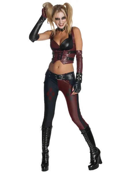 Secret Wishes Harley Quinn Arkham City Costume