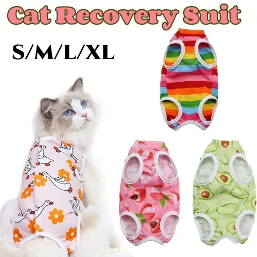 Recovery Suit