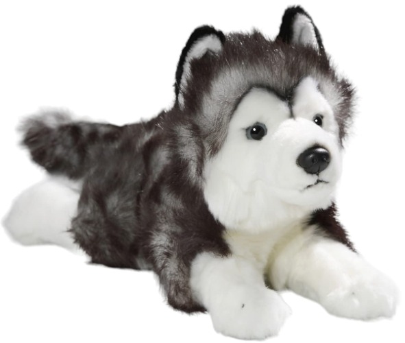 Carl Dick Husky 14 inches, 32cm Overall Length, Plush Toy, Soft Toy, Stuffed Animal 3552 - Hu - Black-white