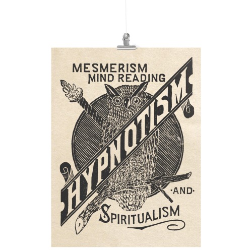 "Hypnotism Owl" Matte Poster - 18x24 Inches