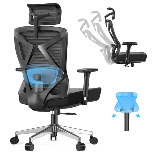 Ergonomic Office Chair with Back Support