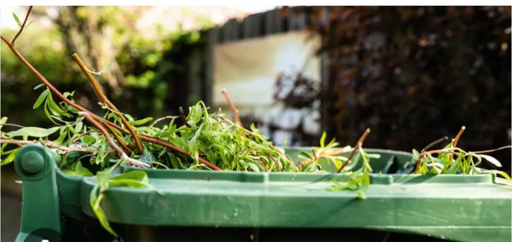 garden waste