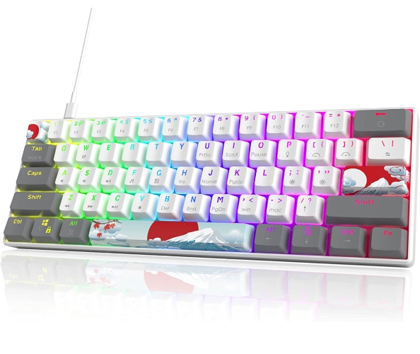 Amazon.com: Owpkeenthy RGB Mechanical Keyboard 60 Percent Red Switches, Ultra-Compact Mini Wired Gaming Keybaord with Backlit PBT Dye-Sub Keycaps for Win/Mac/PC : Video Games