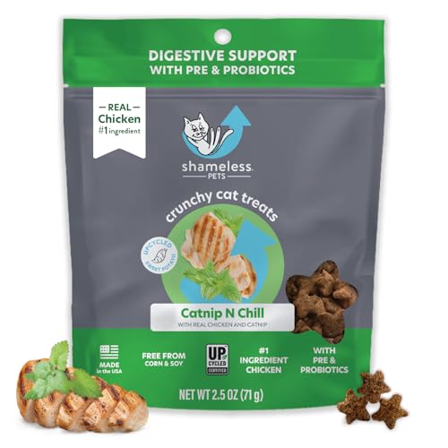 Shameless Pets Digestive Health Catnip Chicken Crunchy Cat Treats - Catnip N Chill - 2.5 Ounce (Pack of 1)